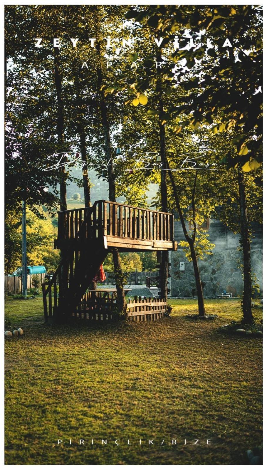 Ardeşen Zeytin Villa Apart מראה חיצוני תמונה